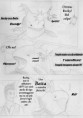 /album/capitolo-ii/pag-026-jpg/